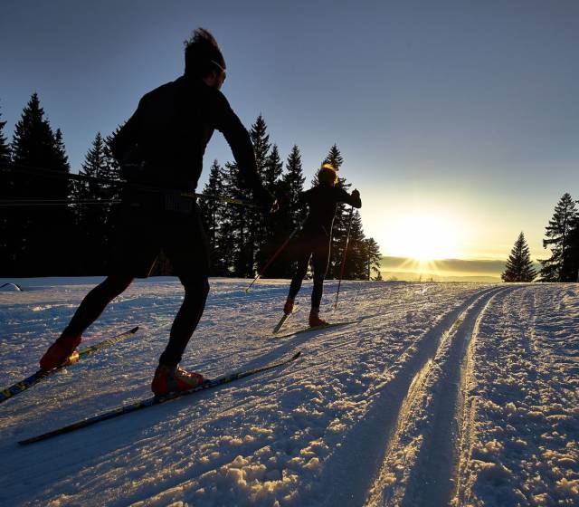 Langlaufen und Langlaufurlaub im bayerischen Wald