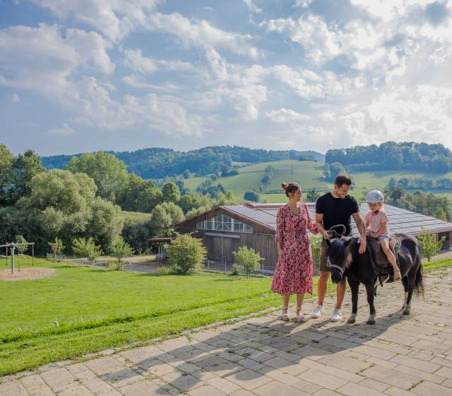 Familienurlaub wie auf dem Bauernhof im Familienhotel Schreinerhof