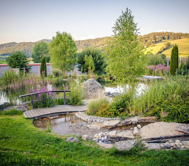 Der Natur- und Erholungssee im Familienhotel Schreinerhof