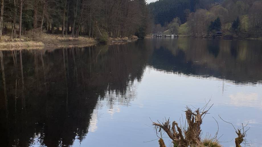 Ein echter Geheimtip für Wanderer - der Hartmannsreiter Stausee Symbolfoto