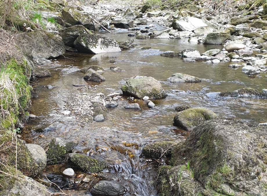 Ein echter Geheimtip für Wanderer - der Hartmannsreiter Stausee Symbolfoto