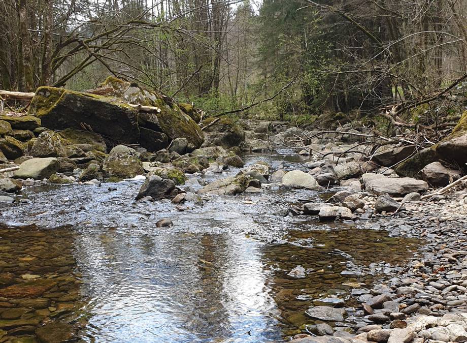 Ein echter Geheimtip für Wanderer - der Hartmannsreiter Stausee Symbolfoto