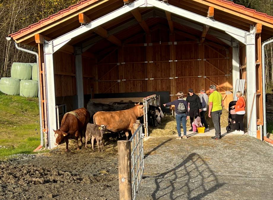 Erlebnis-Bauernhof Symbolfoto