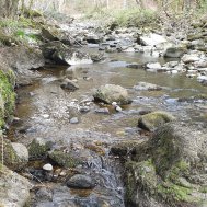 Ein echter Geheimtip für Wanderer - der Hartmannsreiter Stausee, Bild 4/5