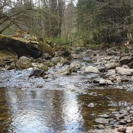 Ein echter Geheimtip für Wanderer - der Hartmannsreiter Stausee, Bild 2/5
