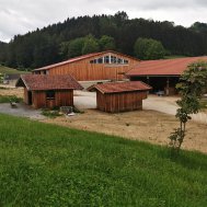 Wir arbeiten an Eurer Wunschliste - Punkt 4 "Der Minibauernhof", Bild 3/4