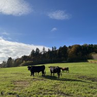 Erlebnis-Bauernhof, Bild 2/9
