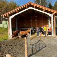 Erlebnis-Bauernhof, Bild 5/9