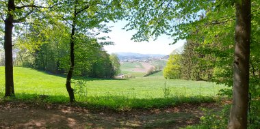 Mitarbeiter Tipp heute von Melissa Gsödl - Waldbaden!!!, Bild 2/4